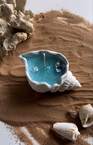 صدفه