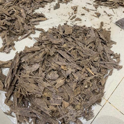 عود كلمنتان بونتيانك سوبر مرتفع