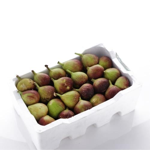 صندوق تين
