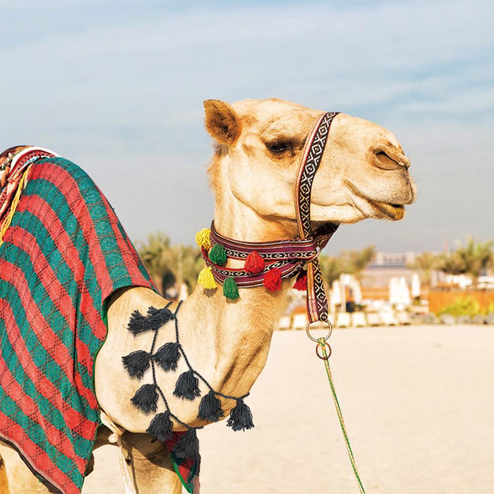 قلادة دبدوب- متينة وخفيفة الوزن، تصميم أنيق وطويل، سهلة التركيب والاستخدام،ضمان سنتان