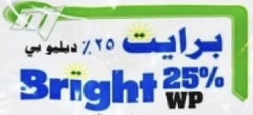 برايت دبليو بي | Bright WP