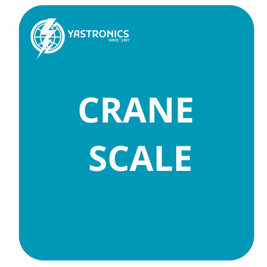 CRANE SCALE