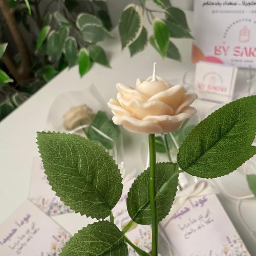توزيعات شموع العودة للدراسة