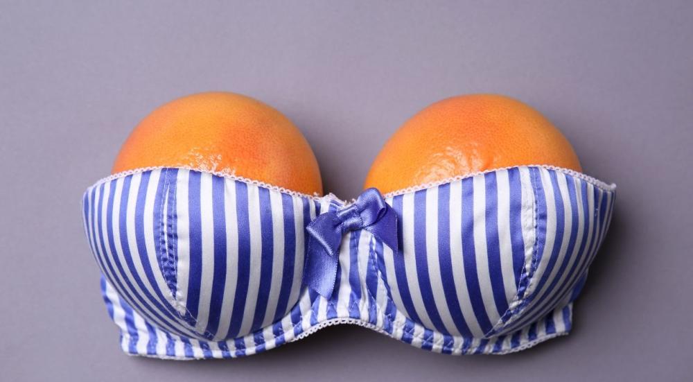Best bra brand for large breasts
