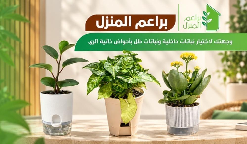 براعم المنزل: وجهتك لاختيار نباتات داخلية ونباتات ظل بأحواض ذاتية الري