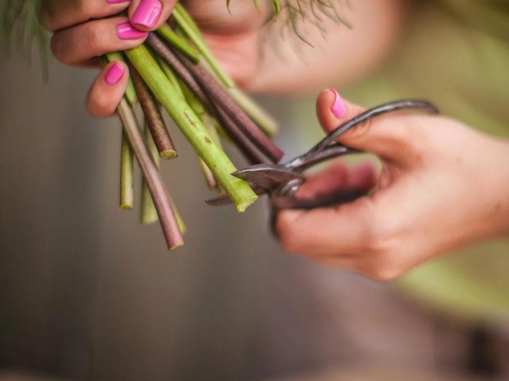 كيف تعتني بالزهور الطبيعية لتدوم أطول؟ دليل عملي لري وتقليم الورود في المنزل