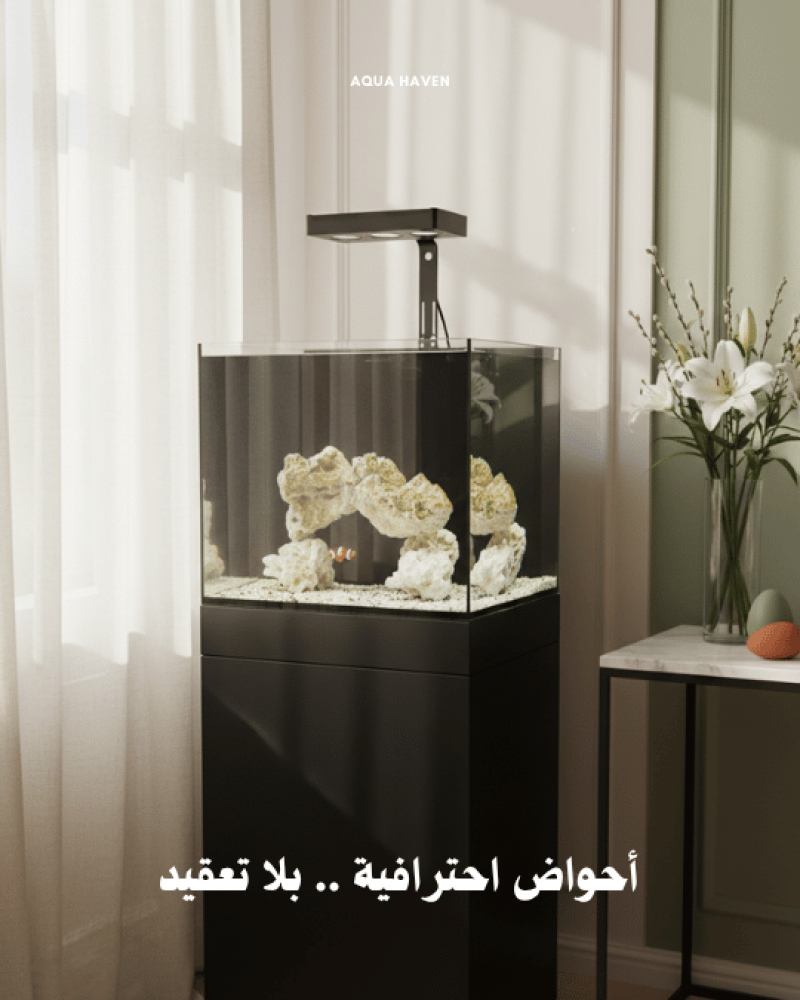 أسهل حوض تقدر تحطه في منزلك