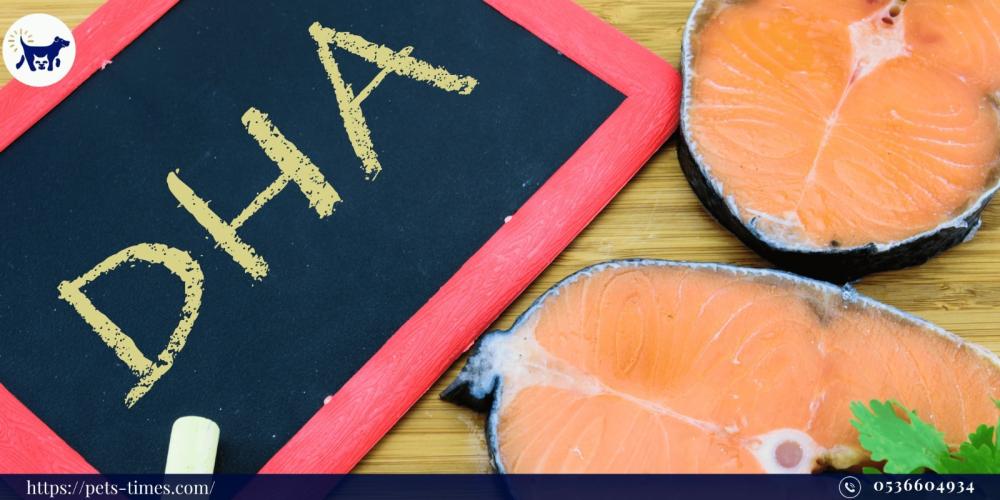 DHA في منتجات الحيوانات