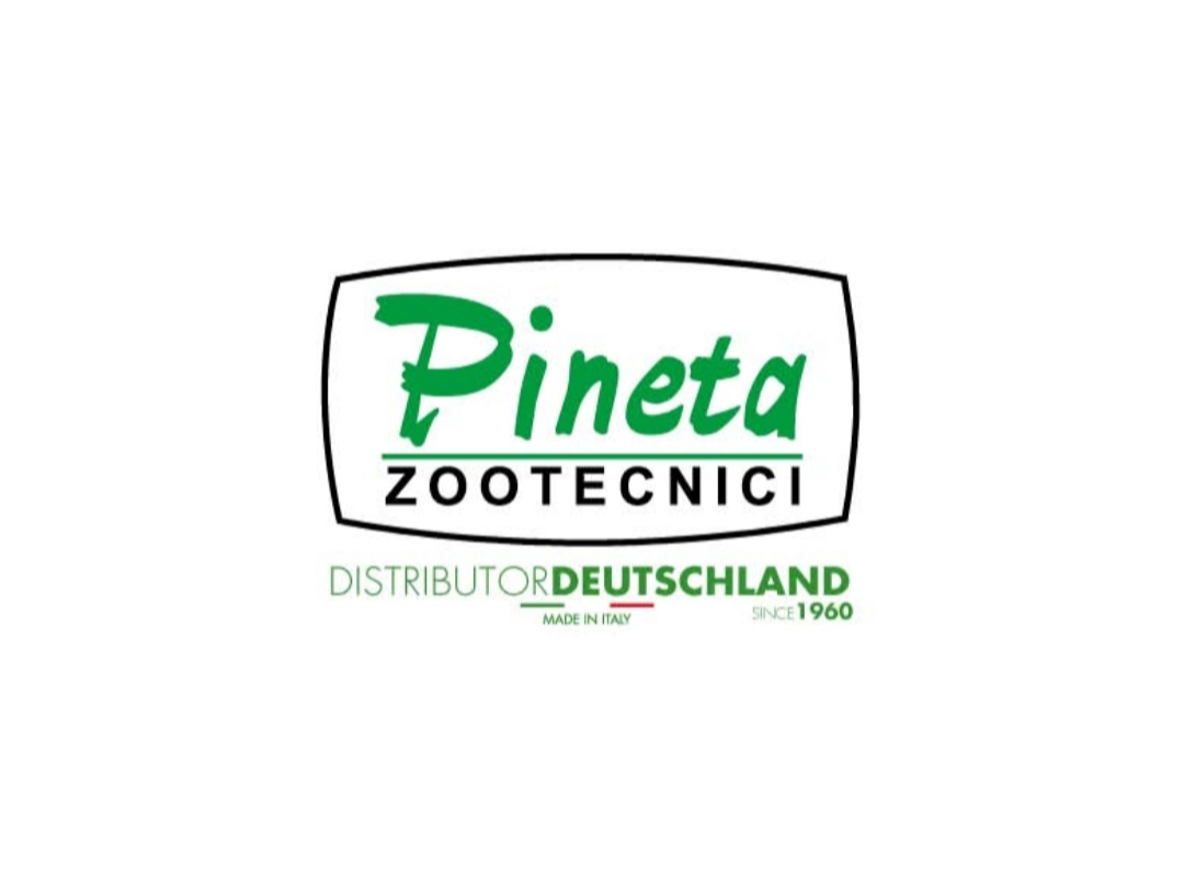 Pineta