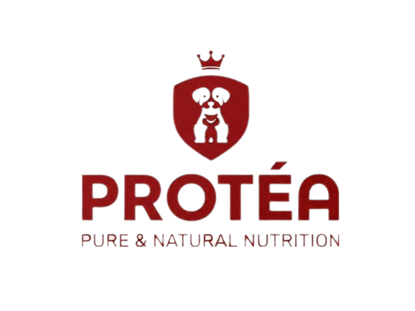 Protea