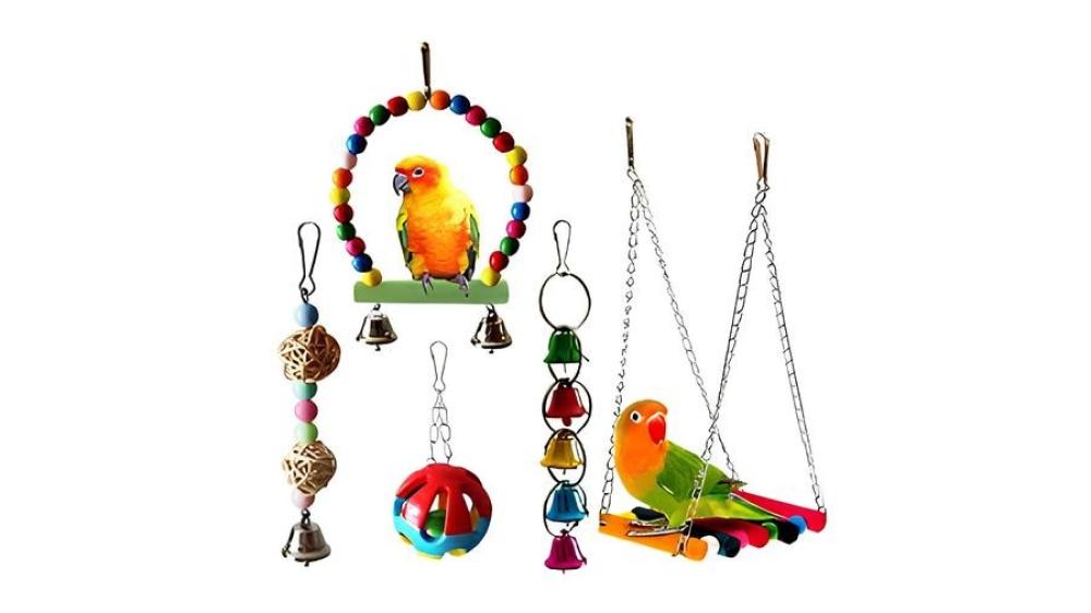 ما هي الألعاب المناسبة لطيور الزينة