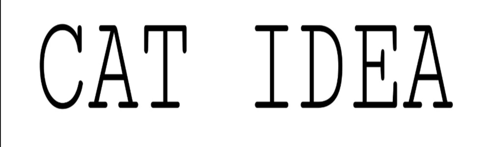 CAT IDEA