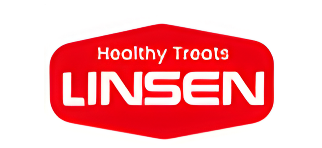 Linsen