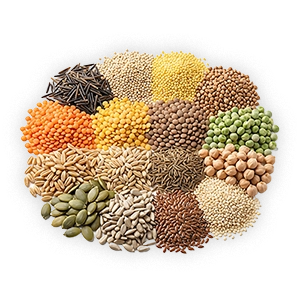 مكسرات وبذور