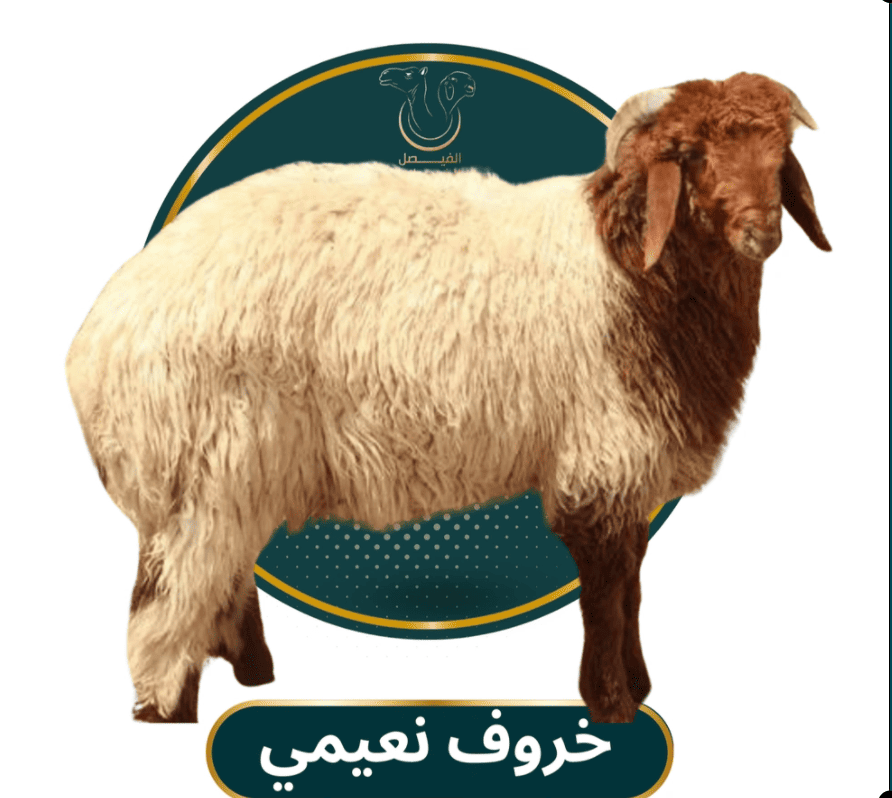 نعيمي
