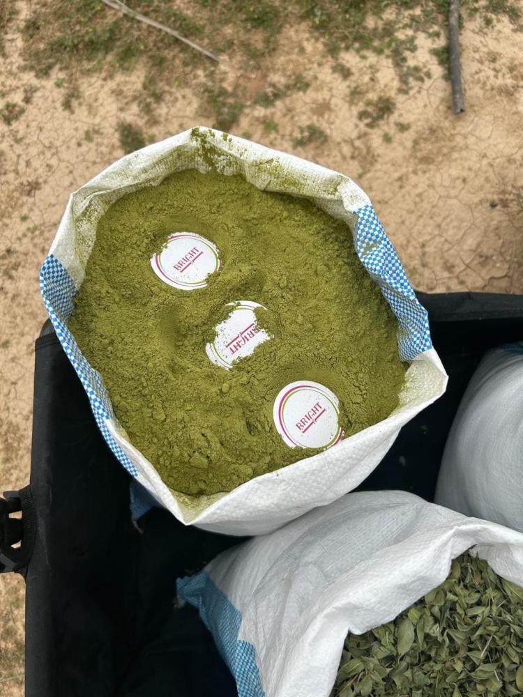 سدر المدينة السدر المدينة طبيعي و عضوي