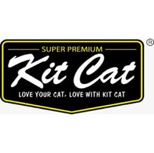 كت كات