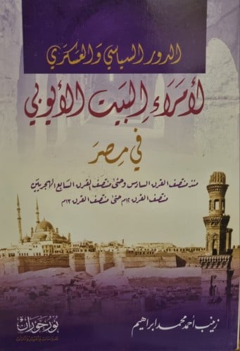 الدور السياسي والعسكري لأمراء البيت الأيوبي في مصر