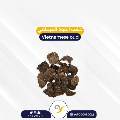 VIETNAMESE OUD