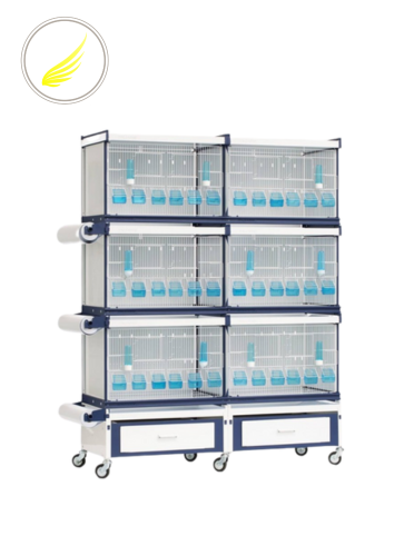 مجموعة 4 أقفاص إنتاج كالا ITALGabbie