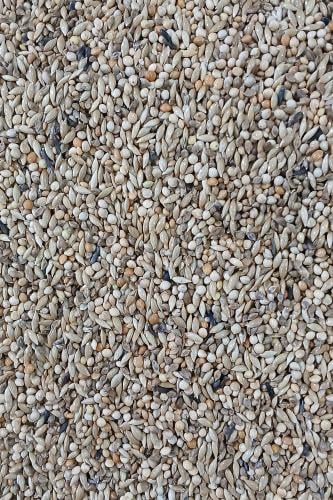 أكل لطيور البادجي Deli Nature تعبئة 1 كيلو