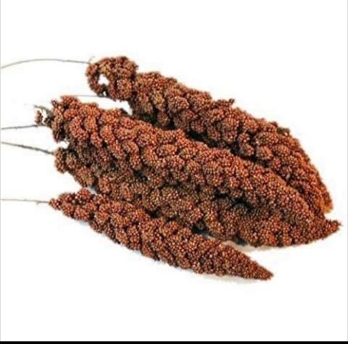 مليت أحمر 500جرام (عناقيد الدخن الأحمر)