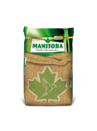 شوفان مانتوبا 20 كيلو