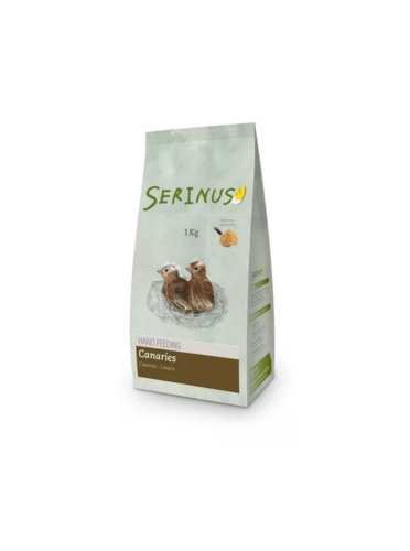 سيرلاك كناري  PSITTACUS