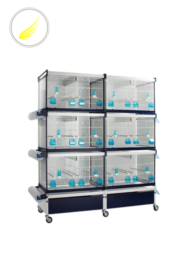 مجموعة أقفاص إنتاج أيرس ITALGabbie