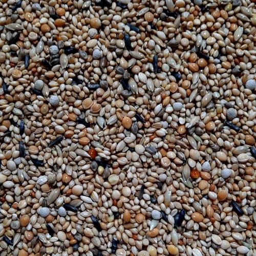 اكل زيبرا وقولدين مانتوبا ( تعبئة 1 كجم )