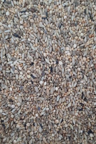 أكل زيبرا وقولدين دلينتشر ( تعبئة 1 كيلو جرام )