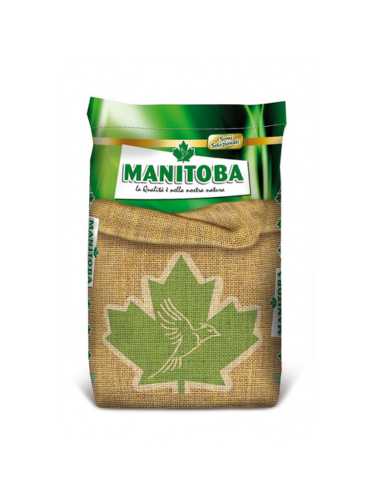 حَب شمسي صغير مانتوبا ( تعبئة 1 كجم )