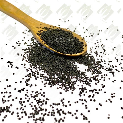 بذور الرجلة