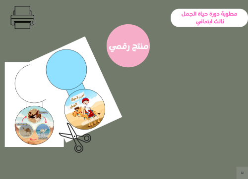 مطوية دورة حياة الجمل-ثالث ابتدائي PDF
