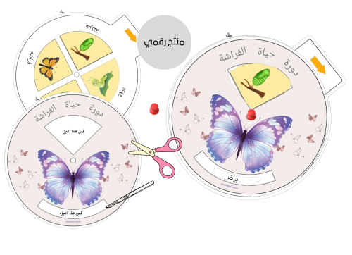 مطويه علوم رقميه جاهزه للطباعه (مراحل نمو الفراشة)