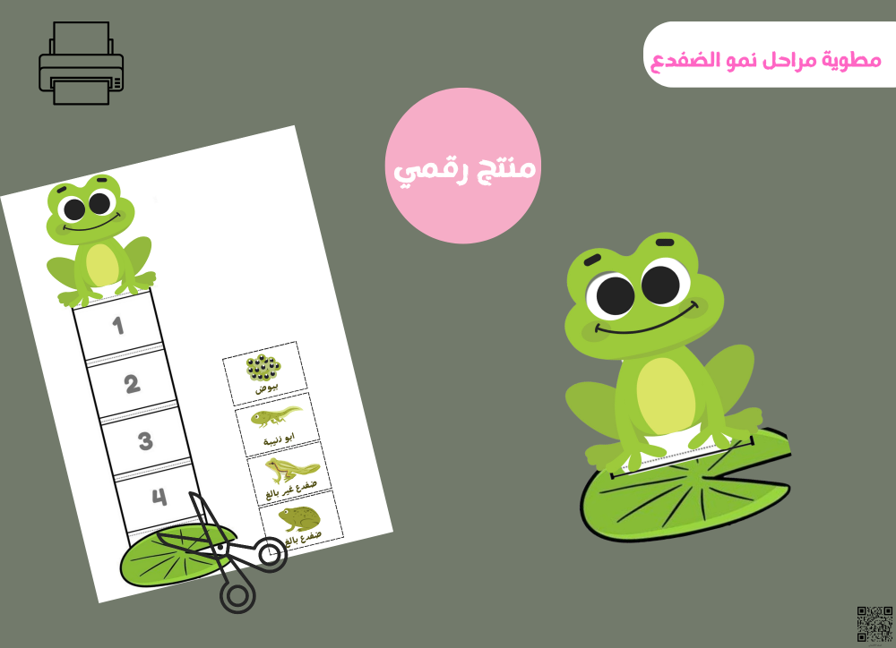 مطوية مراحل نمو الضفدع ابتدائي pdf