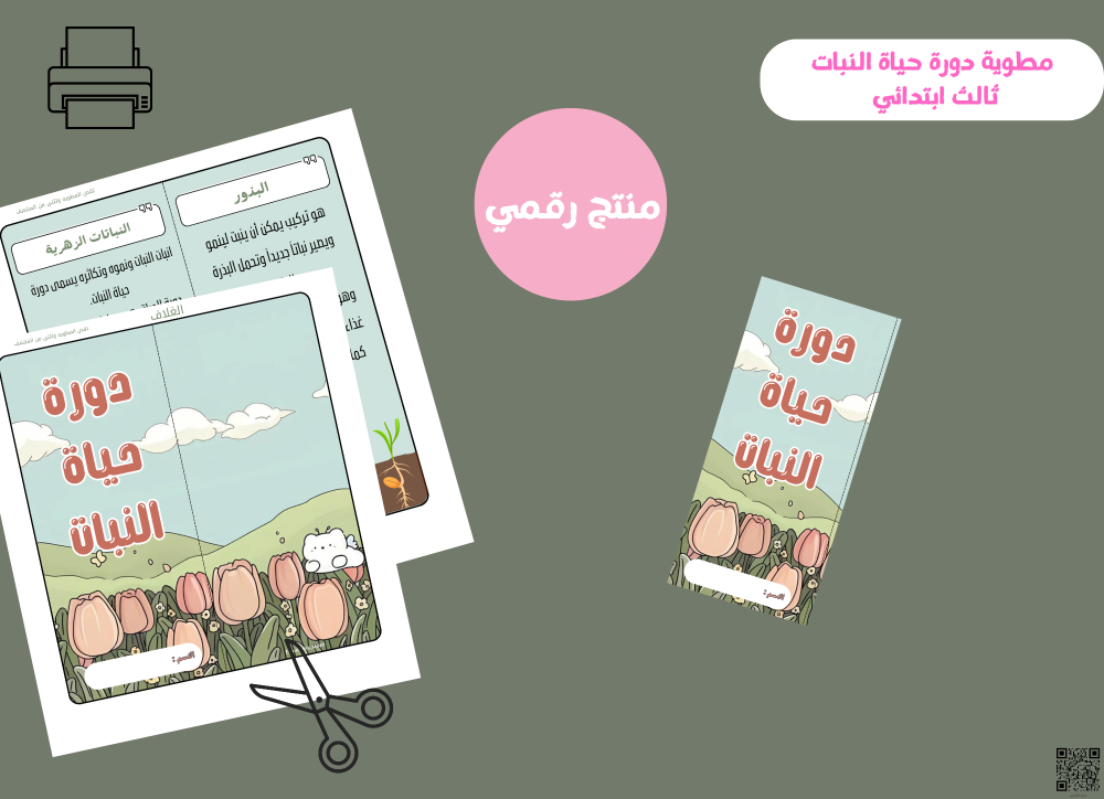 مطوية دورة حياة النبات-ثالث ابتدائي pdf