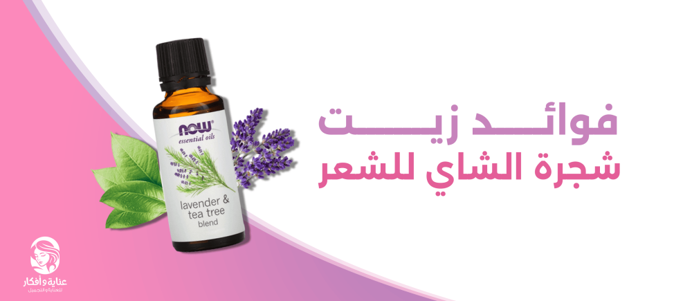 فوائد زيت شجرة الشاي للشعر