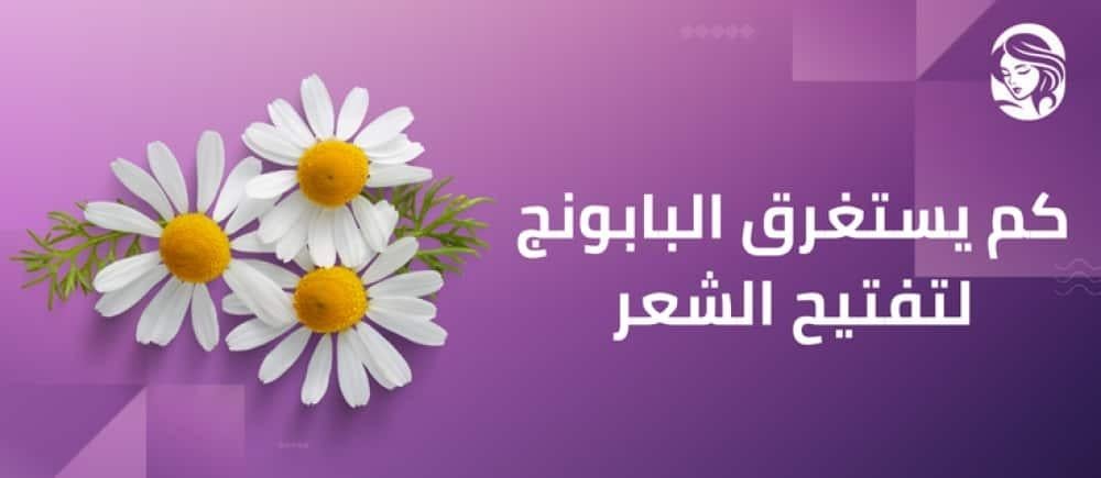 كم يستغرق البابونج لتفتيح الشعر وهل هو فعال لتفتيح الشعر أم لا؟
