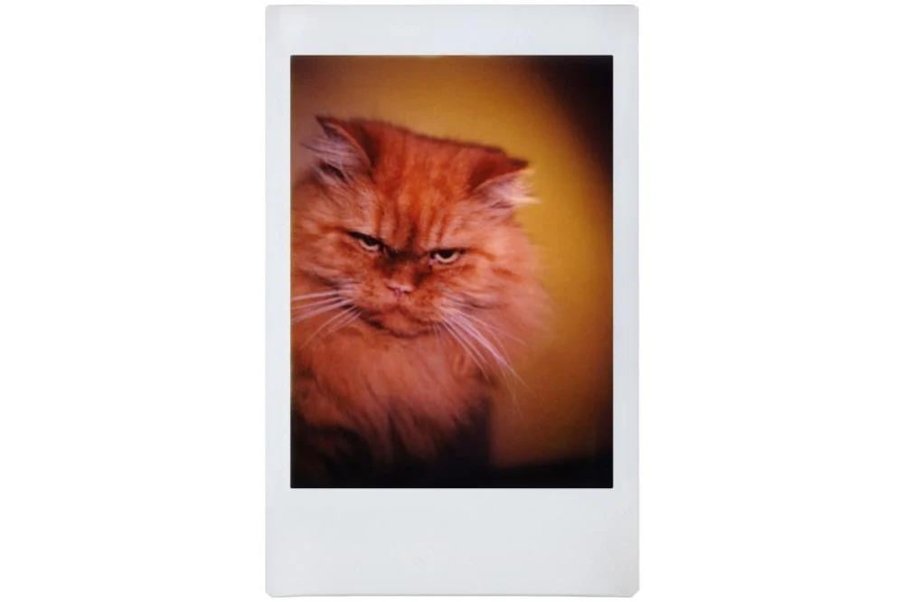 كاميرا لومو اوتوماتيكية زجاج كليمنجارو مع 3 عدسات