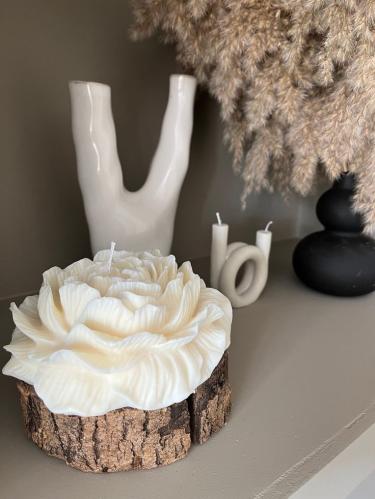 قالب سيلكون - وردة الفاونيا العملاقه