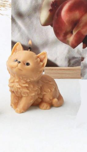 قالب سيلكون - قطه