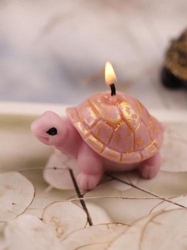 قالب سيلكون - سلحفاه