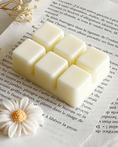 علبة بلاستيكية للفواحات - عدد 50 علبة