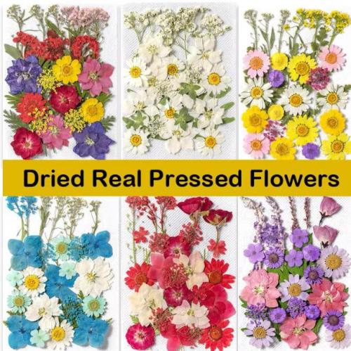 ورد مجفف للزينة