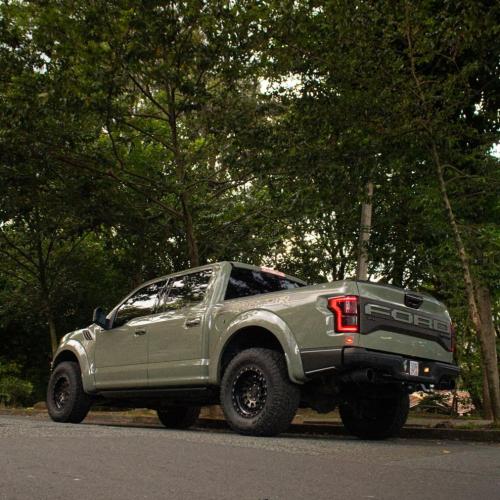 أخضر موس قرين | Moss Green CG23-HD