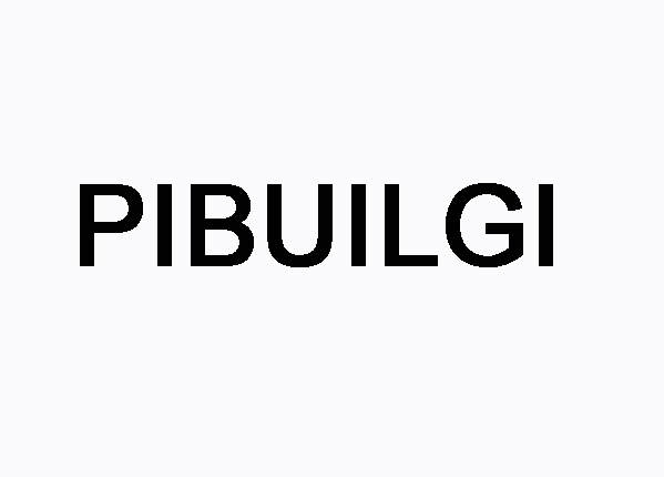 PIBUILGI