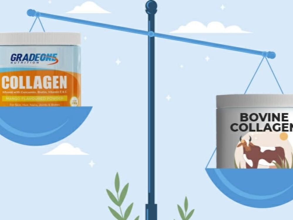 كولاجين من مصدر سمكي أم  البقري؟