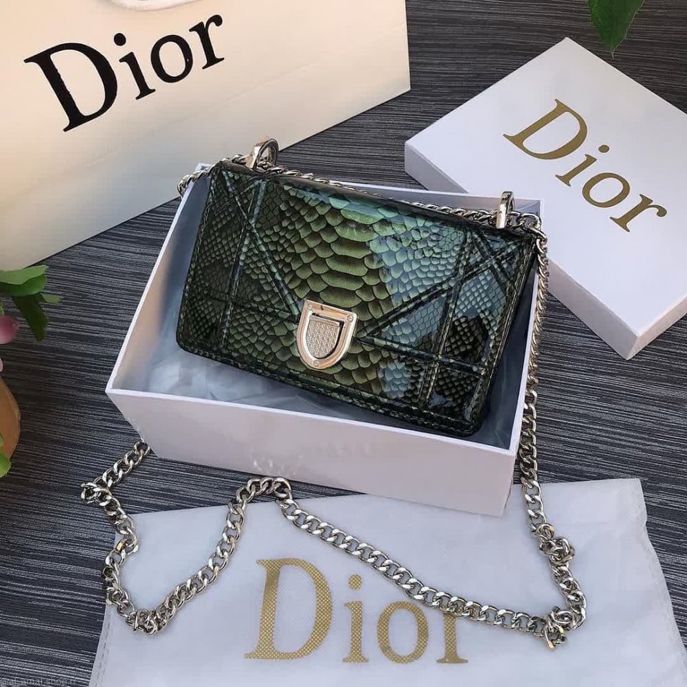ديور smol bag