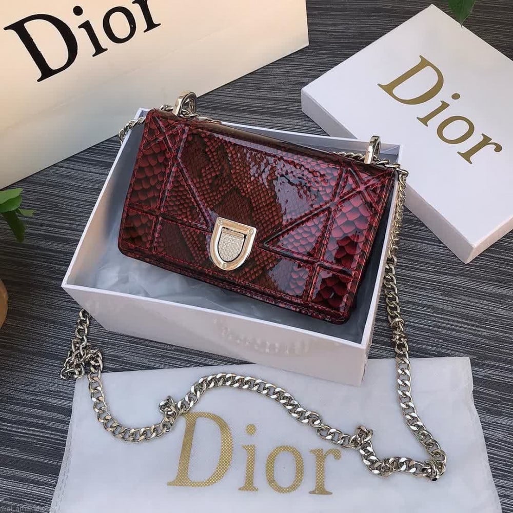 ديور smol bag